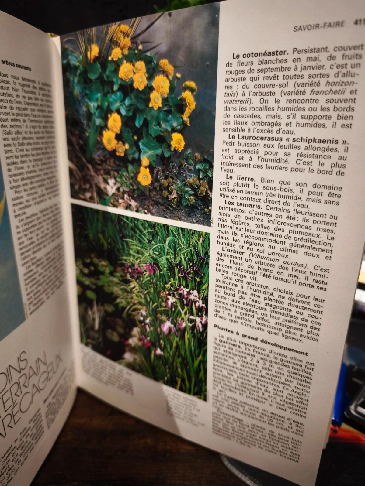 Les doigts vert tome 2 – photo 2